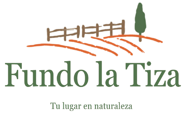 Logo Fundo La Tiza