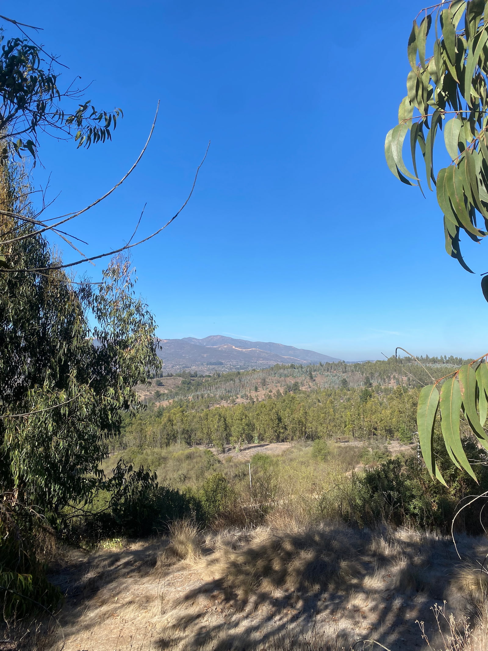 Paisaje Fundo La Tiza 2